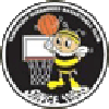 https://img.hljt1989.com/img/basketball/team/e416830f4083698237c559f8988ddb25.png