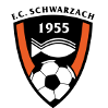 https://img.hljt1989.com/img/football/team/488370880779534e48b5b2d5243fb6f6.png