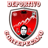 https://img.hljt1989.com/img/football/team/8dae401493177b32ed12597c1d28f77a.png